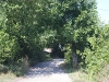CRW_2450