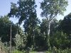 CRW_2468