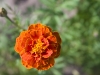 CRW_2475