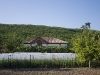 CRW_2481