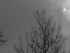 CRW_1470_kl