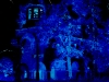 allekatzenblau