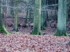 CRW_5024